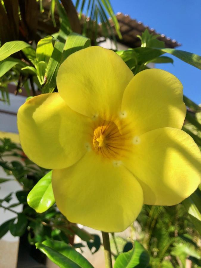 Estalagem Bougainville - Pousada-zen Salvador